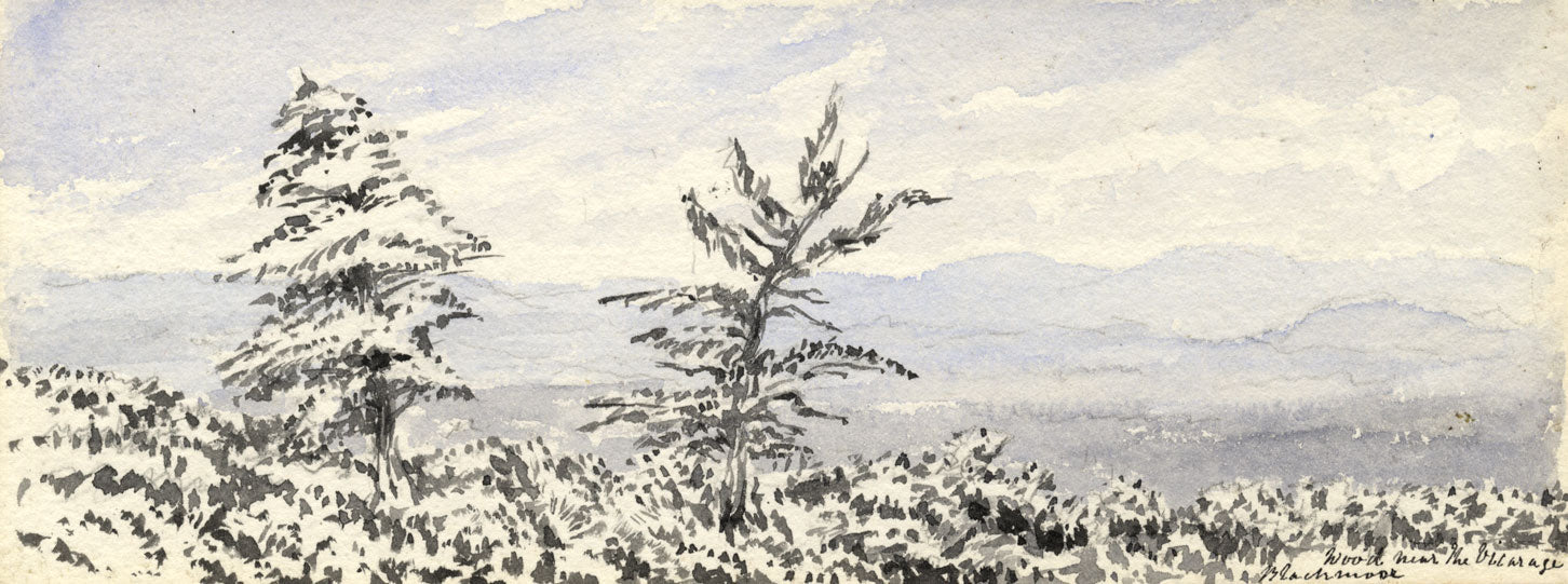 Emily Bruce, Woolmer Forest, Hampshire – Dipinto originale ad acquerello del 1889