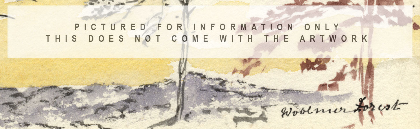 Emily Bruce, Woolmer Forest, Hampshire – Dipinto originale ad acquerello del 1889