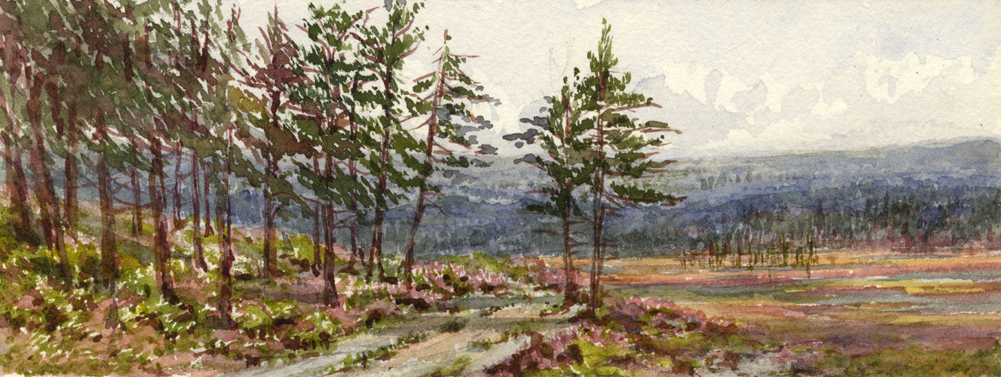 Emily Bruce, Wood near the Vicarage, Blackmoor, Hampshire – 1889 watercolour
