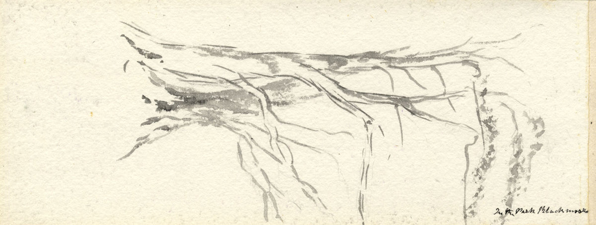 Emily Bruce, Wood near the Vicarage, Blackmoor, Hampshire – 1889 watercolour