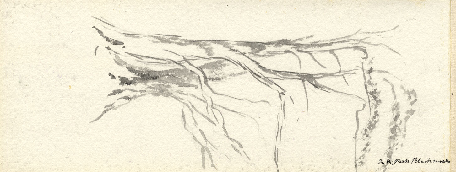 Emily Bruce, Bosco vicino alla canonica, Blackmoor, Hampshire – acquerello del 1889