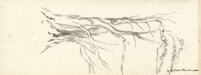 Emily Bruce, Bosco vicino alla canonica, Blackmoor, Hampshire – acquerello del 1889