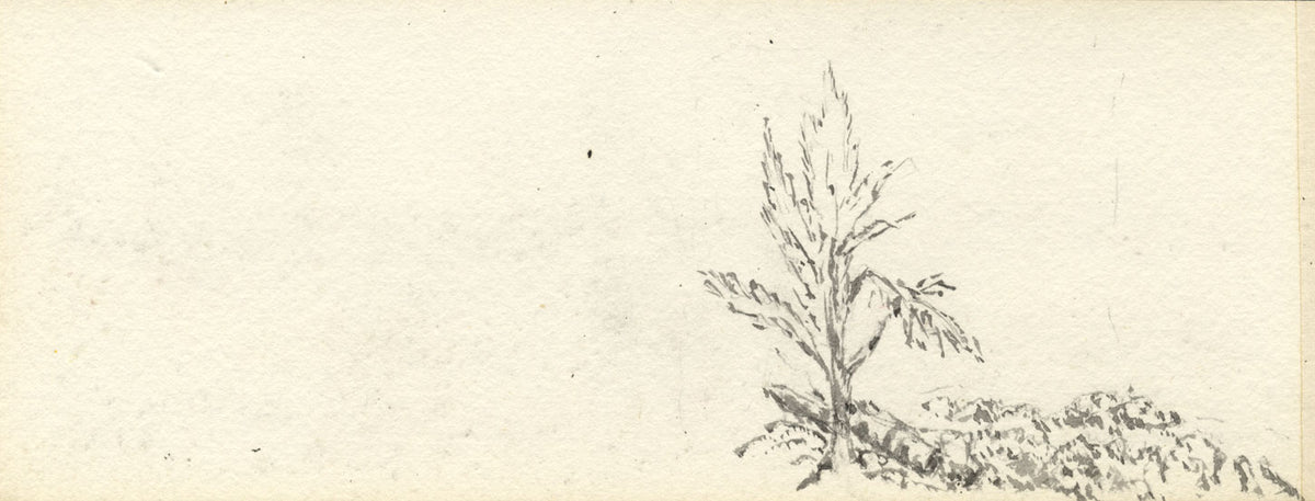 Emily Bruce, Woods near Vicarage, Blackmoor, Hampshire – 1889 watercolour