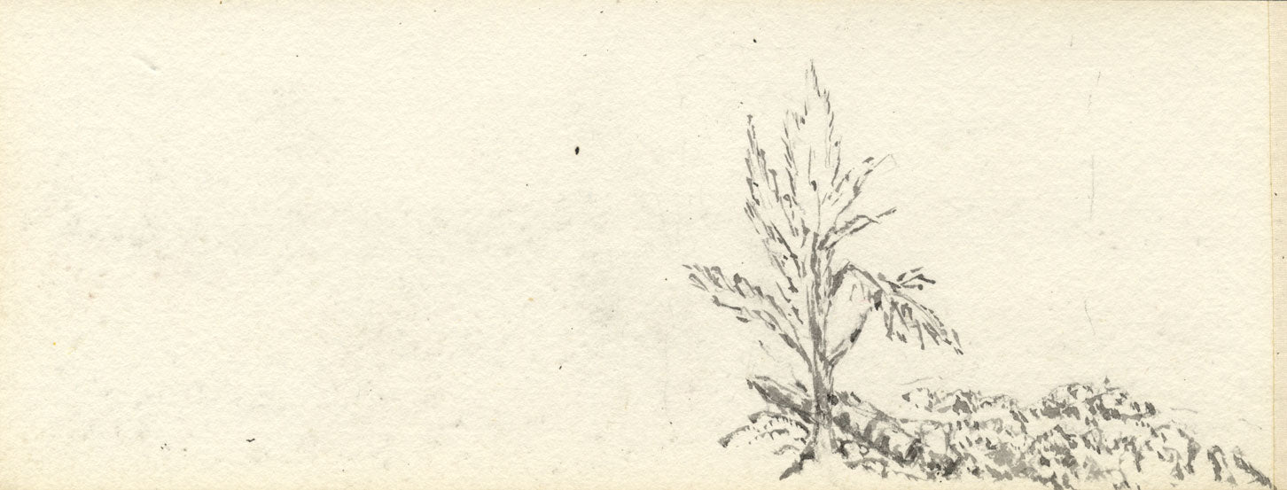 Emily Bruce, Boschi vicino a Vicarage, Blackmoor, Hampshire – acquerello del 1889