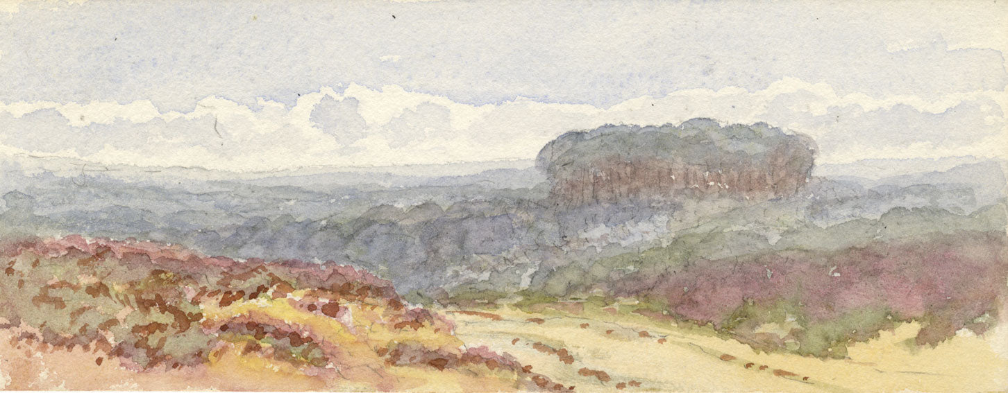 Emily Bruce, Woolmer Forest View, Hampshire – Original 1889 watercolour painting