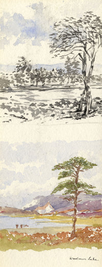 Emily Bruce, Vista del bosque de Woolmer, Hampshire – Acuarela original de 1889