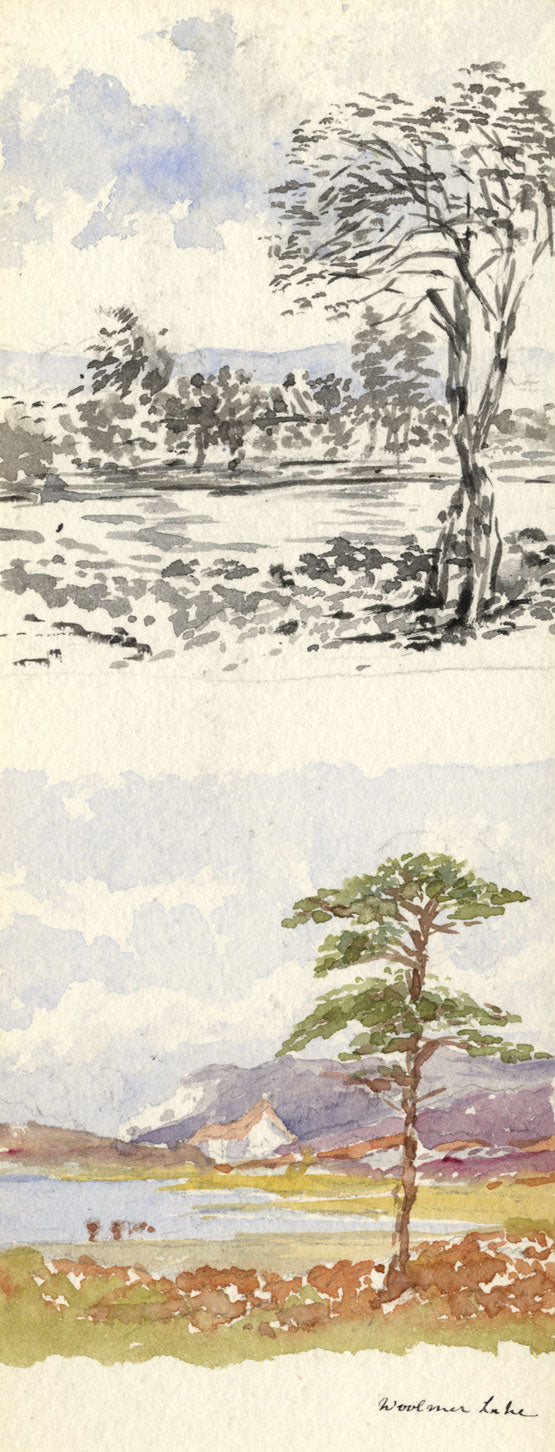 Emily Bruce, Vista del bosque de Woolmer, Hampshire – Acuarela original de 1889