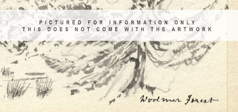 Emily Bruce, Vista del bosque de Woolmer, Hampshire – Acuarela original de 1889