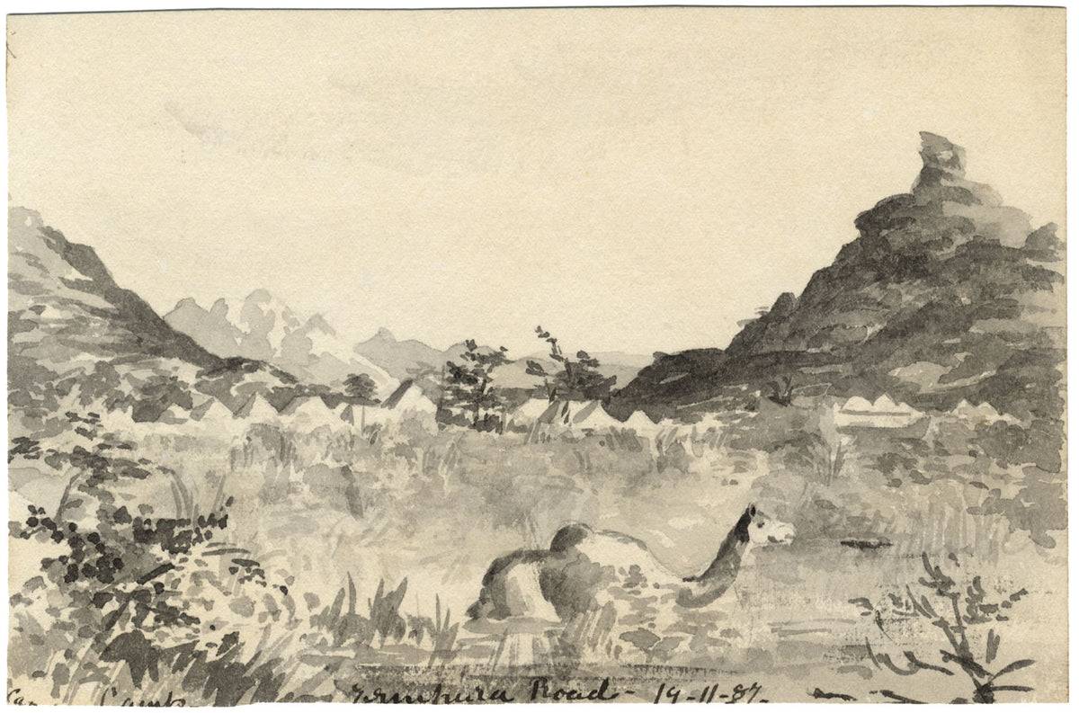 Etta Fraser, Camello cerca de la carretera, Rajastán, India – Acuarela de 1887