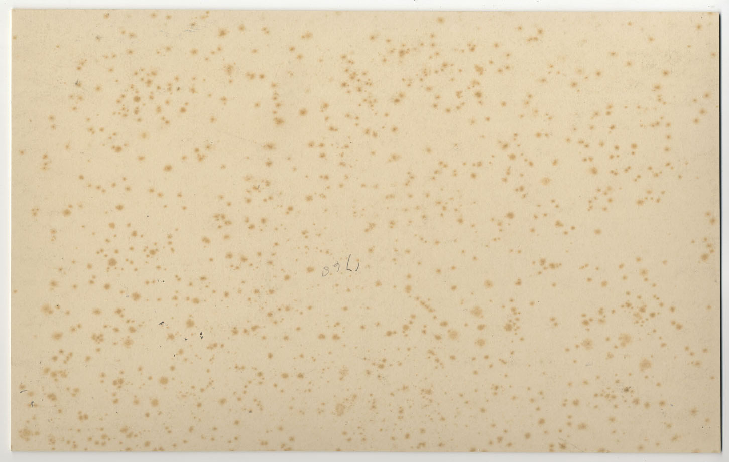 Vernon Wethered NEAC, Pont d'Avignon, Francia – acuarela de principios del siglo XX