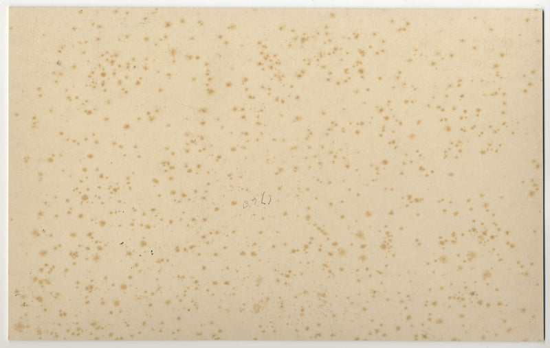 Vernon Wethered NEAC, Pont d'Avignon, Francia – acuarela de principios del siglo XX