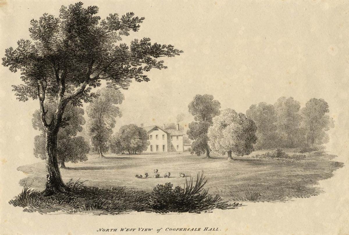 North West View of Coopersale Hall, Essex – early 19th-century lithograph print