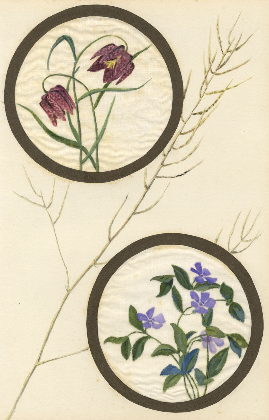 Snake's Head Fritillary & Periwinkle – early C20th watercolour on linen gauze