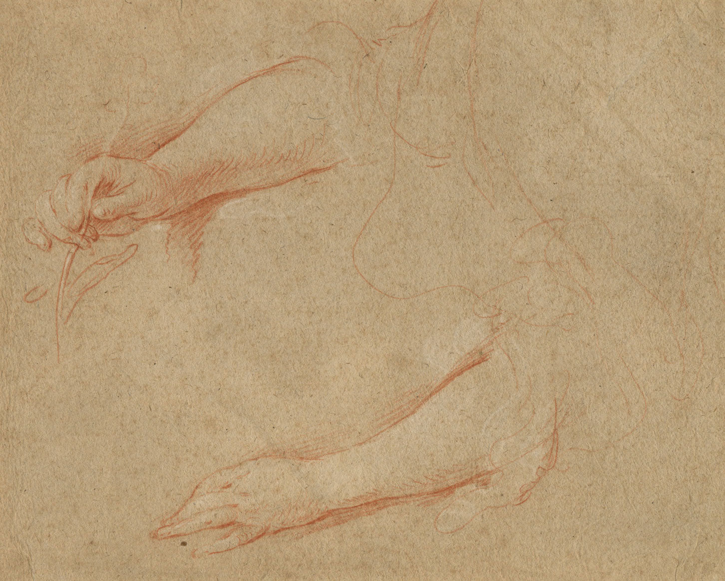 William Hoare of Bath RA, Study of a Pair of Hands – 18th-century chalk drawing
