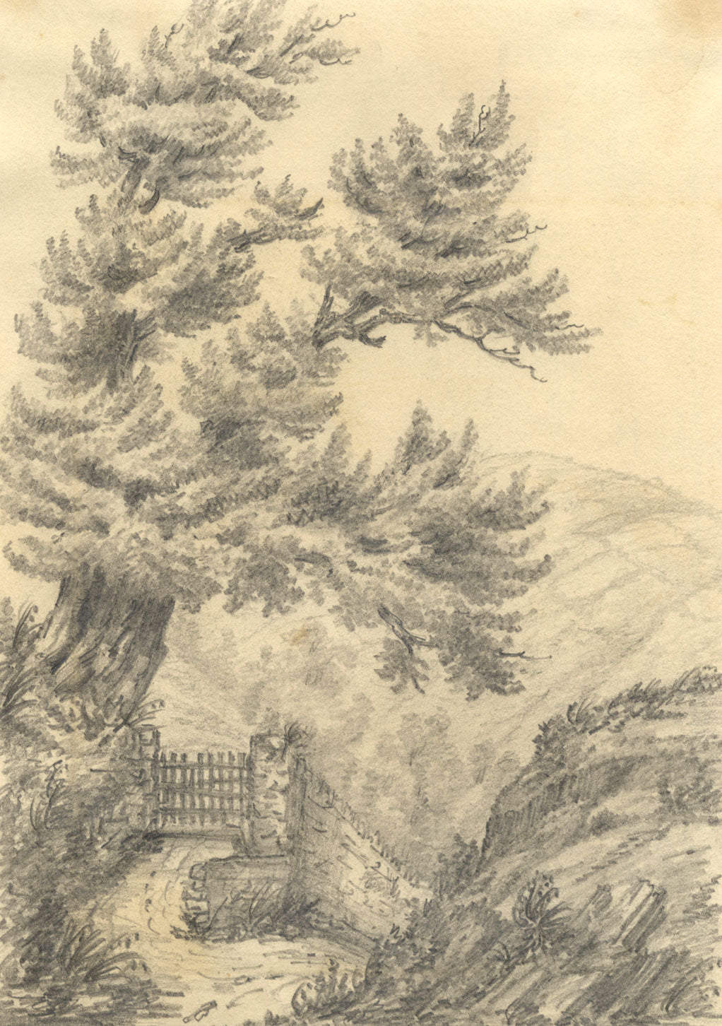 C.A. Collis, At Hele, Ilfracombe, North Devon –mid-19th-century graphite drawing