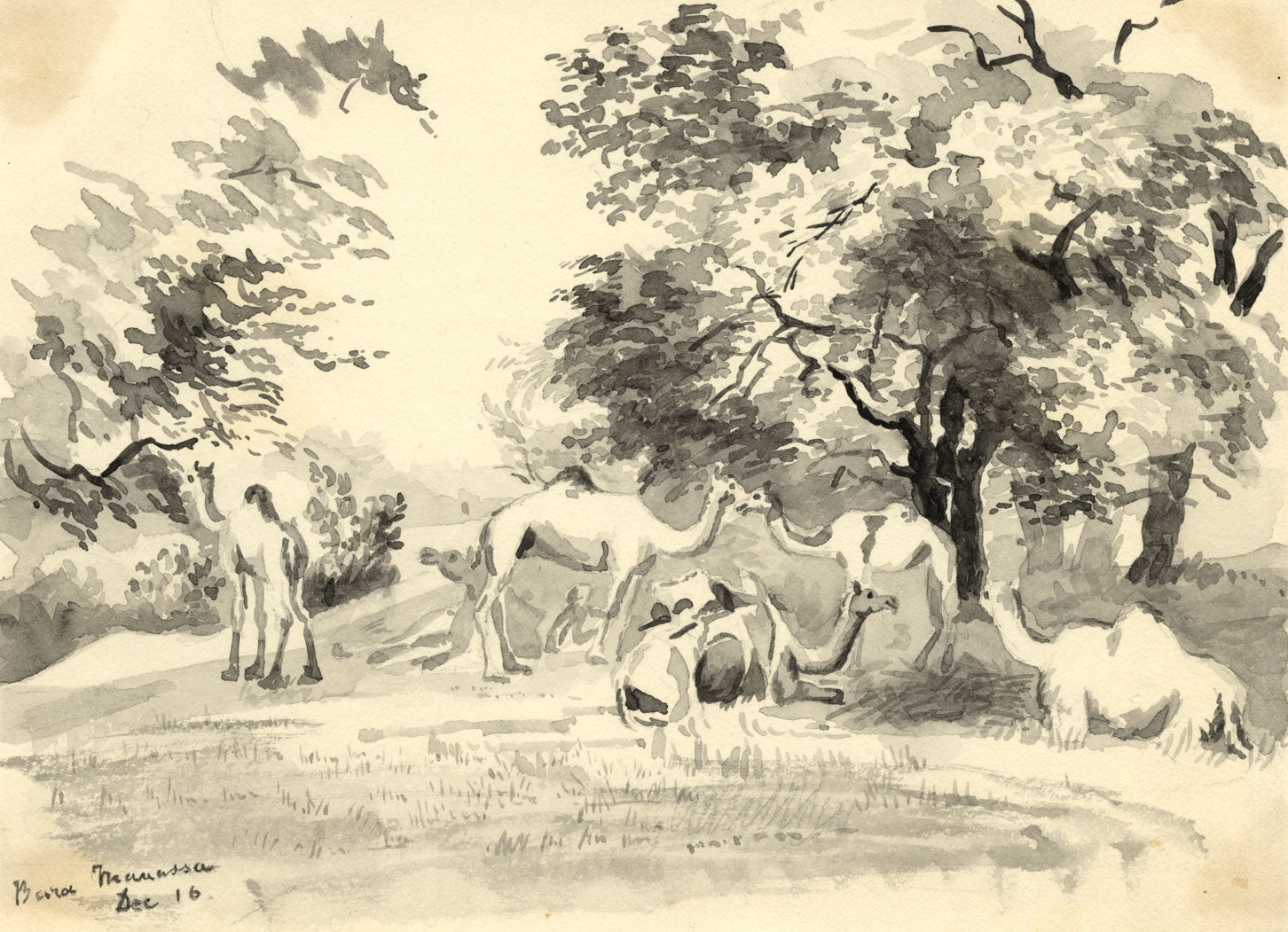 Etta Fraser, Camels, Bara Manassa, Rajasthan, India – 1890s watercolour painting