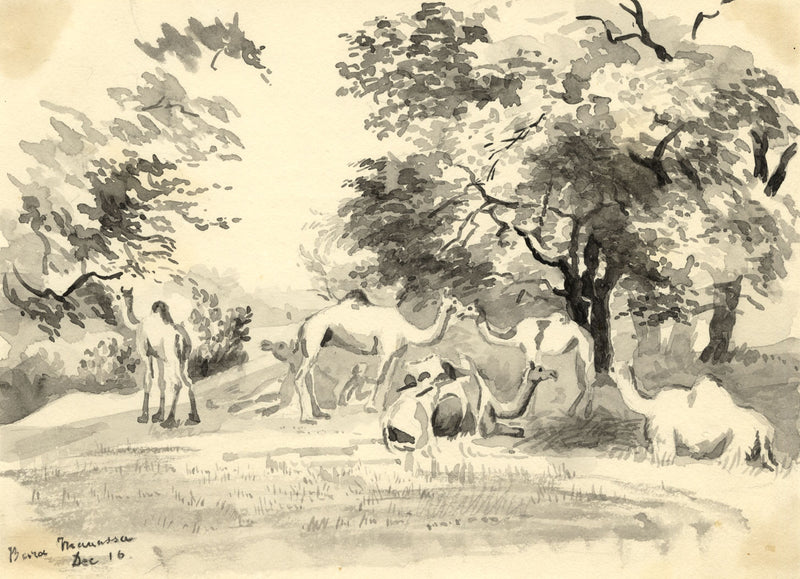 Etta Fraser, Camels, Bara Manassa, Rajasthan, India – 1890s watercolour painting