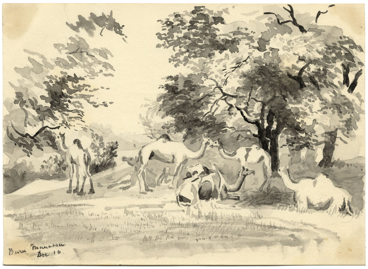 Etta Fraser, Camellos, Bara Manassa, Rajastán, India – Acuarela de la década de 1890