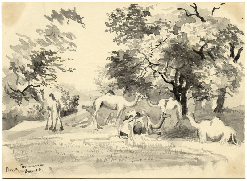 Etta Fraser, Camels, Bara Manassa, Rajasthan, India – 1890s watercolour painting