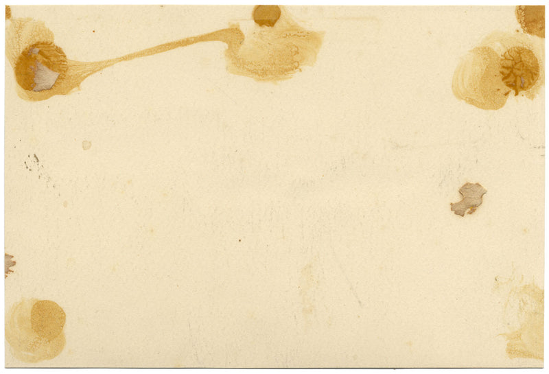 Attribuzione PA Rajon, Novembre nei Pirenei, Francia – acquerello del XIX secolo