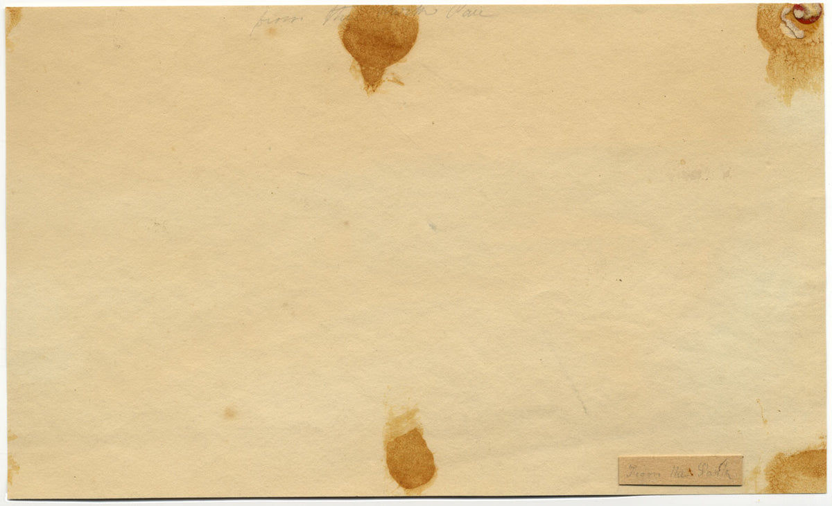 Attribuzione PA Rajon, Fiume Gave de Pau dal Parco, Pirenei – acquerello del XIX secolo