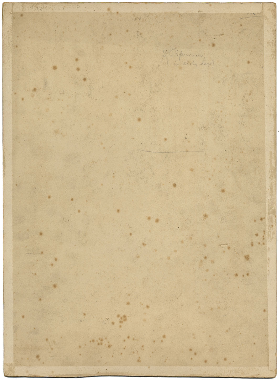 Steven Spurrier RA RBA ROI, Ritratto di un cavaliere – dipinto a guazzo del 1907 circa