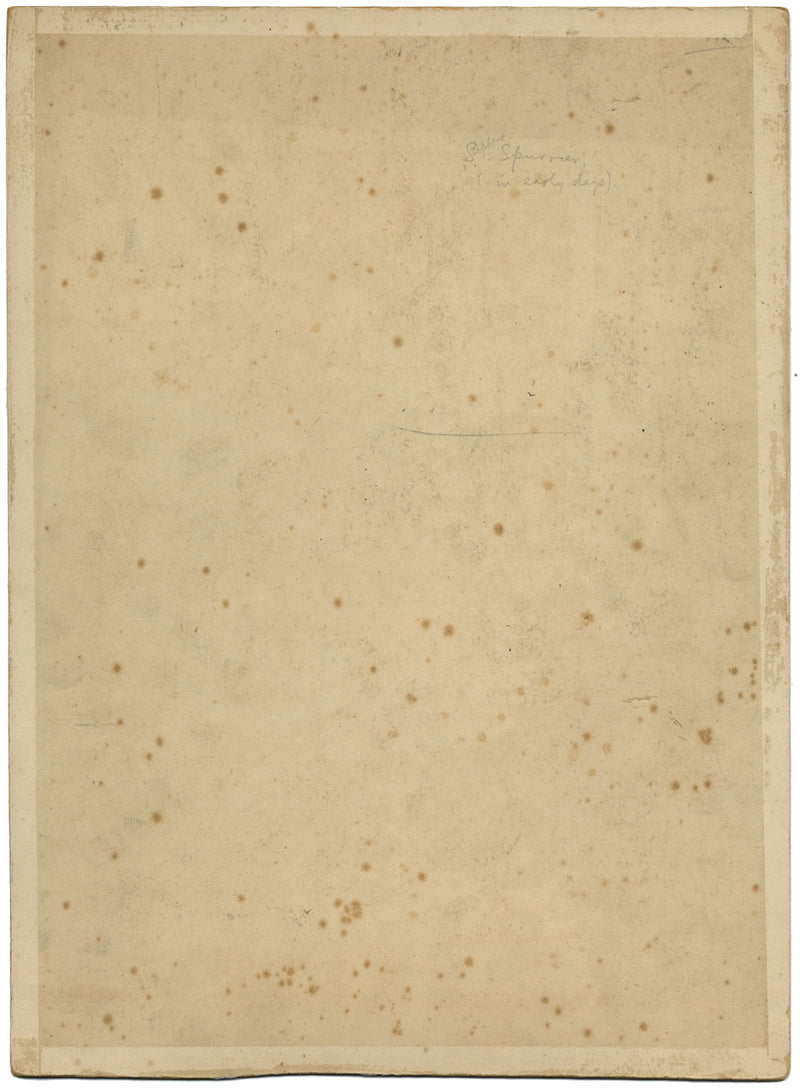 Steven Spurrier RA RBA ROI, Ritratto di un cavaliere – dipinto a guazzo del 1907 circa