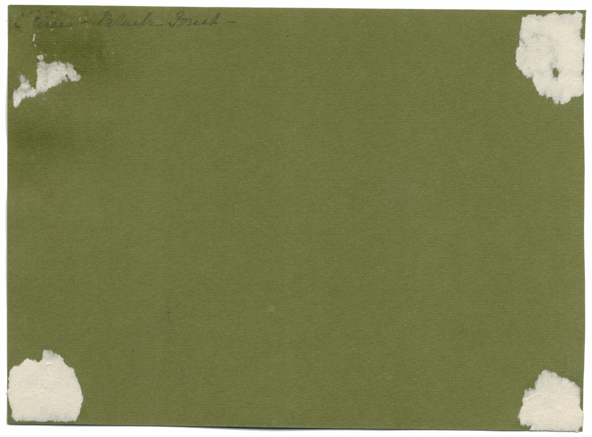 C.J. Newcome, Black Forest Chalet House, Lake Titisee, Germany –1899 watercolour