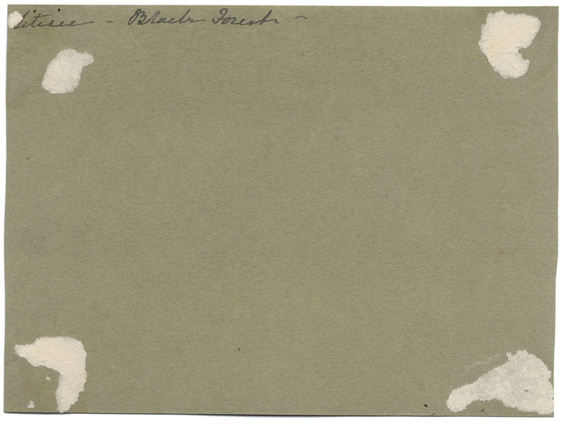 CJ Newcome, Lago Titisee, Foresta Nera, Germania – acquerello del 1899