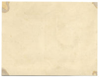 James Holland OWS, Morning Glory y Margarita – acuarela c.1825