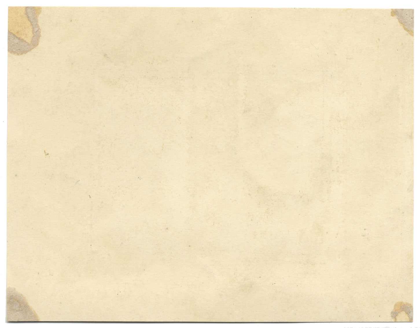 James Holland OWS, Morning Glory y Margarita – acuarela c.1825