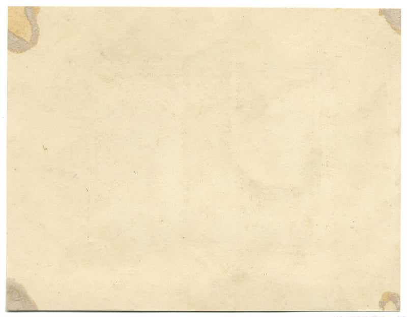 James Holland OWS, Morning Glory y Margarita – acuarela c.1825