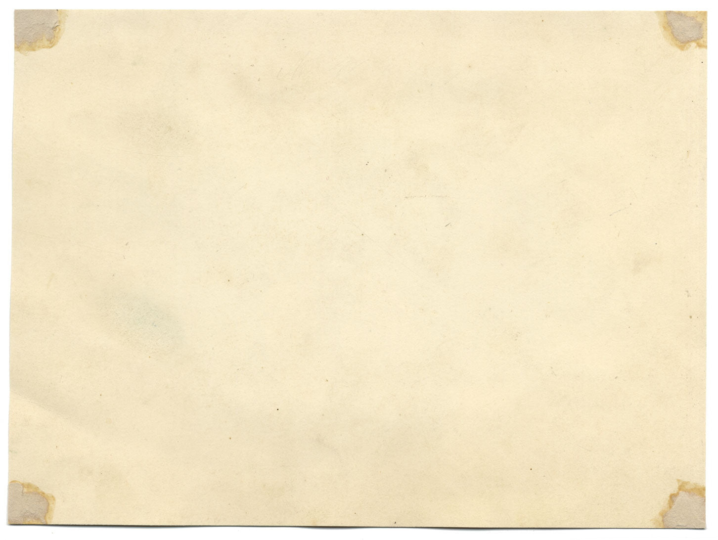 James Holland OWS, Hibisco y amapola – Acuarela original de 1825