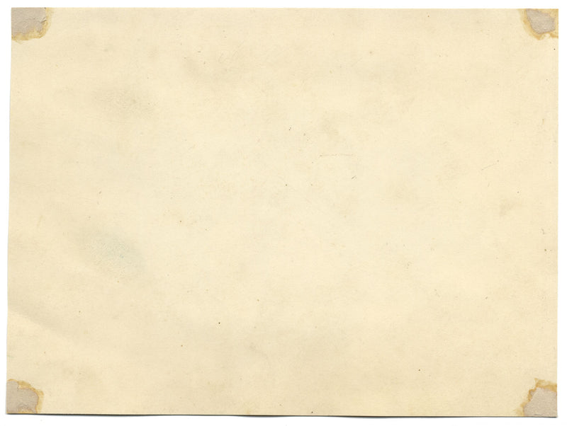 James Holland OWS, Hibisco y amapola – Acuarela original de 1825