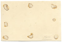 Bagnères-de-Bigorre, Pirenei, Francia – Acquarello della metà del XIX secolo