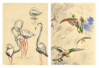 Jean M Ogilvie, Art Deco Stork & Duck Design–Double-sided 1930s gouache painting