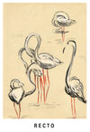 Jean M Ogilvie, Art Deco Stork & Duck Design–Double-sided 1930s gouache painting