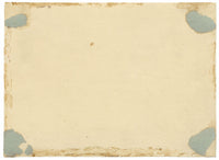 Attribuzione di William Gunton, Due uccelli dalle piume brillanti – acquerello di inizio XIX secolo