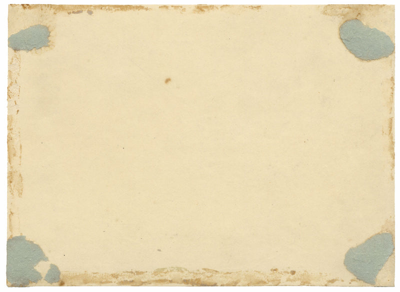 Attribuzione di William Gunton, Due uccelli dalle piume brillanti – acquerello di inizio XIX secolo