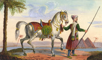 Arabian Horse in front of the Pyramids – Miniature c.1830 gouache painting