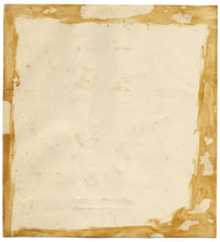 Mid-century Modern Original Ceramics Design – Seashell Coffee Pot 1953