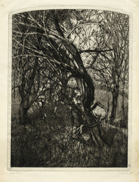 Ian Worwood, Female Forms amongst Trees – Original 1966 etching print