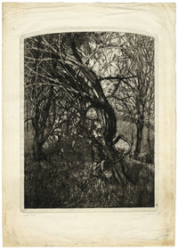 Ian Worwood, Female Forms amongst Trees – Original 1966 etching print