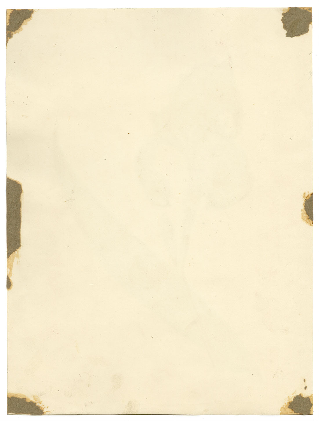 Círculo de James Holland, Flor de iris púrpura – acuarela del siglo XIX