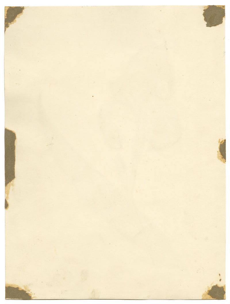 Círculo de James Holland, Flor de iris púrpura – acuarela del siglo XIX