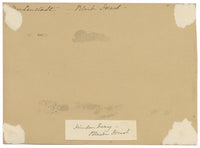 CJ Newcome, Deposito legname di Freudenstadt, Foresta Nera, Germania – acquerello del 1899