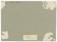 CJ Newcome, Edifici agricoli, Titisee, Foresta Nera, Germania – acquerello del 1899