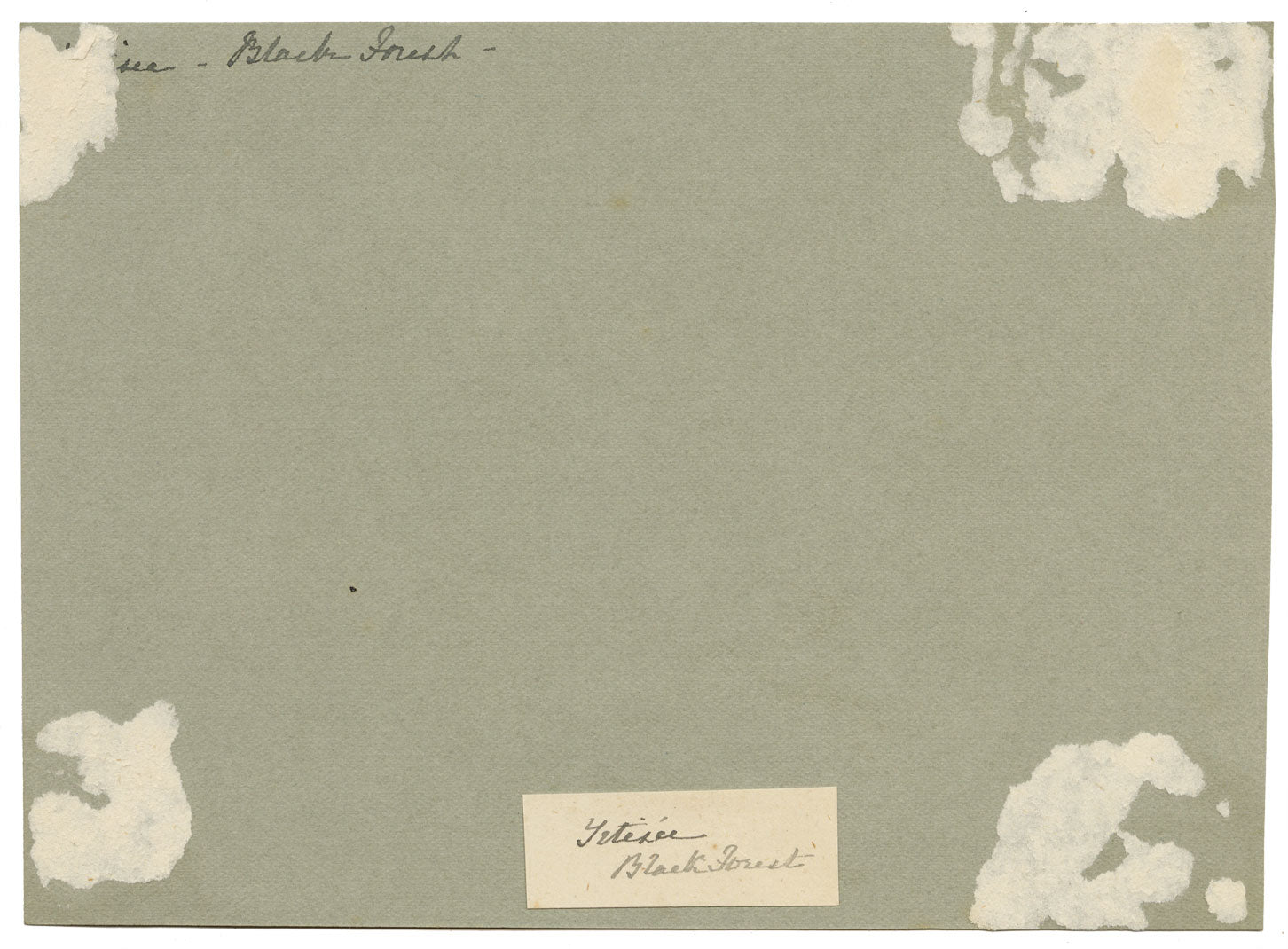 CJ Newcome, Edifici agricoli, Titisee, Foresta Nera, Germania – acquerello del 1899