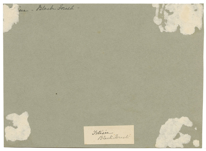 CJ Newcome, Edifici agricoli, Titisee, Foresta Nera, Germania – acquerello del 1899