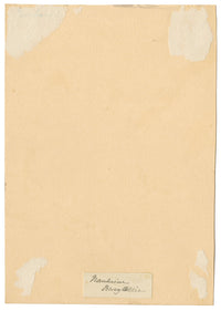 CJ Newcome, Giardini, Burgallee, Bad Nauheim, Assia, Germania – acquerello del 1899